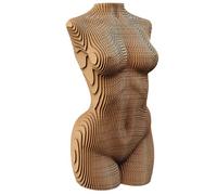 Ensemble de Puzzle 3D CARTONIC - Torse féminin - Puzzle 3D en Carton - Le Carton se transforme en Une Figure en Relief - Tous Les âges - 75 Pieces Cardboard 3D Jigsaw Puzzle