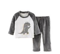 Ensemble de pyjamas moelleux pour enfants 2026, manches longues en polaire épaissie pour printemps et automne, vêtements d'intérieur pour garçons et filles, grand, chaud, gris, 3-4 ans