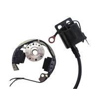 Ensemble de Rotor magnéto de Stator de bobine d'allumage pour Pit Bike 50cc Compatible avec 50 SX