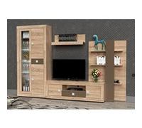 PEGANE Ensemble de Salon Meuble TV +1 étagère Murale + Armoire avec éclairage LED + bibliothèque Coloris chêne Cambrian, Chocolat