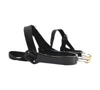 Ensemble de sangles d'équitation pour chaussures d'équitation, éperons d'équitation arrondis avec corps en alliage pour le contrôle de la queue lors de l'entraînement et de l'équitation quotidienne
