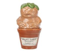 Ensemble de shakers de mandragore Harry Potter - Produit Harry Potter officiellement licencié