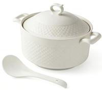 Ensemble De SoupièRes en CéRamique - Bols De Service Compatibles Micro-Ondes Et Lave-Vaisselle avec Couvercle en Verre Et Double PoignéE, Louche Incluse(1800ml)