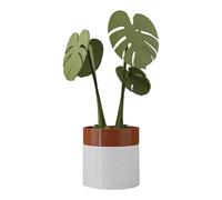 Ensemble De sous-Verres Magnétiques Monstera Designs avec Tige Amovible Et Base Jardinière Blanche Décoration Bureau Cuisine Dessous Verre Imperméable Résistant À La