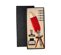 Ensemble de stylos de calligraphie à plumes fantaisie de luxe vintage pour l'écriture