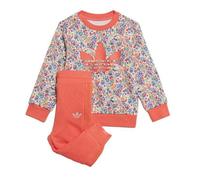Ensemble de survêtement Rose/Blanc Fille Adidas Crew Set 0-3 mois