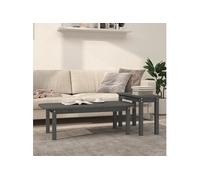 vidaXL Ensemble de tables basses 2 pcs Gris Bois massif de pin822364 Gris G