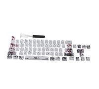 Ensemble de Touches Personnalisées, Kit de Touches de Bricolage PBT Intéressant Comprenant 71 Touches de Commutateur de Touches de Clavier Mécanique Motif de Fleurs de Prunier(anglais-japonais)