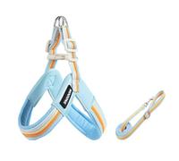 Ensemble de Transport en Forme de Y et Laisse pour American Staffordshire Terrier, Sac de Transport Anti-Traction léger de 1,4 m, Rembourrage Doux Blue S