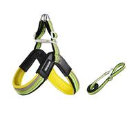 Ensemble de Transport en Forme de Y et Laisse pour Cairn Terrier, Sac de Transport Anti-Traction léger de 1,4 m, Rembourrage Doux Green M