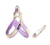 Ensemble de Transport en Forme de Y et Laisse pour Portuguese Water Dog, Sac de Transport Anti-Traction léger de 1,4 m, Rembourrage Doux Fuchsia M