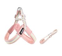 Ensemble de Transport en Forme de Y et Laisse pour Portuguese Water Dog, Sac de Transport Anti-Traction léger de 1,4 m, Rembourrage Doux Pink M