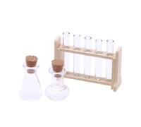 Ensemble de tubes à essai 1:12 en verre transparent pour maison de poupée, accessoires de laboratoire, ornement en bois