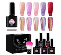 Ensemble de vernis à ongles gel œil de chat, vernis à ongles magnétique œil de chat, vernis à ongles étoilé, vernis à ongles gel semi-permanent œil de chat, vernis à ongles gel photothérapie, gel œil