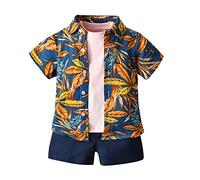 Ensemble de Vêtements Complet d'été pour Enfant Garcon 1-6 Ans, Highdi 3 Pièces Coton Imprimé Hawaiana Florale Chemise à Manche Courte, T-shirt, Short avec Poches (110cm,Bleu+Rose)