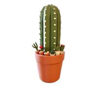 Ensemble d'échecs de Cactus, Carte de Rouleau imprimé en 3D, 9.84x5.91x5.91 Pouces Game de Voyage Portable, de Table Unique, Conception légère, Parfait pour Les Adultes, Les débutants, la mai