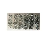 Ensemble d'écrous protecteurs avec un scellant 146 PCS 2