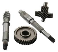 Ensemble d'essieu arrière de boîte vitesses for scooter GTR125, compatible avec les moteurs FlameX125 RAY125 XC125 CygnusX125cc 4T 5ML