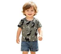 Ensemble d'été décontracté pour garçon : T-shirt à manches courtes imprimé dinosaure et short en jean, deux pièces pour les jours. Douceur qui Sourit Chaque Matin