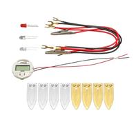 Ensemble D'expérimentation Électrique Interactif Alimenté Par Des Fruits Production 'énergie Éducative Pour Étudiants Et Enseignants Ensemble 'énergie Fait Maison