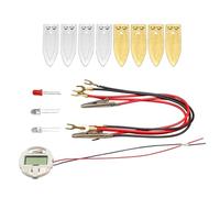 Ensemble d'expérimentation interactif alimenté par des fruits pour élèves, enseignants, ensemble d'alimentation fait maison