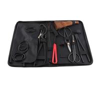 Ensemble d'outils à bonsaï Professionnel en Acier au Carbone, Feuilles, sécateurs, kit de matériel de râteau pour Les Amateurs de bonsaï, Les jardiniers, Noir, Ensemble de 11