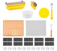 Ensemble d'outils d'apiculture, récupérateur de pollen, piège à coléop
