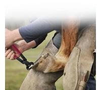Ensemble d'outils de maréchal-ferrant 4 pièces comprenant une pince et une râpe à ferrure avec poignée et un couteau pour le soin des équidés et l'entretien du fer à cheval