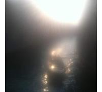 Ensemble Economique - Blossoms in Red-HQ