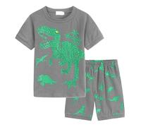 Ensemble Ete Garcon 1-7 Ans Imprimé Dinosaure Ensemble Short Tee Shirt Garcon T-Shirts à Manches Courtes+Shorts et Bermudas Coton Pyjama Ete Enfant Vêtements D'intérieur (Grey-2, 3-4 Years)