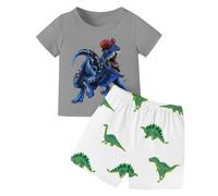 Ensemble Ete Garcon 2-12 Ans Imprimé Dinosaure Ensemble Short Tee Shirt Garcon T-Shirts à Manches Courtes+Shorts et Bermudas Pyjama Ete Enfant Vêtements D'intérieur (Grey, 5-6 Years)