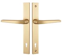 Ensemble étroit pour serrure type PS clé L HERACLES B-HIONNA-S01