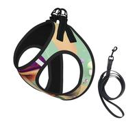 Ensemble gilet et harnais violet pour petit animal de compagnie - Maille douce, légère et respirante pour petits chiens et chats