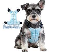 Ensemble gilet pour chien, système d'été léger pour soulager la chaleur, kit harnais pour petit chien, petite taille, pour une utilisation en plein air, marche, entraînement, voyage, camping
