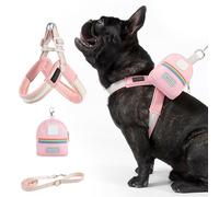 Ensemble harnais et harnais pour chiens - harnais pour chiens de petite taille réglable et ajustement ergonomique pour la formation, la marche urbaine, la randonnée, la course avec outil de sécurité