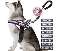 Ensemble Harnais et Laisse Animire in Training pour Chien avec 10 Patchs pour Chien, Laisse réfléchissante avec poignée rembourrée Douce pour Chiens de Petite, Moyenne, Grande et très Grande Taille