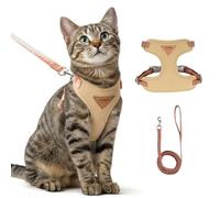 Ensemble Harnais et Laisse Anti évasion pour Chat, Harnais Chat reglabl, Confortable, idéal pour Promener Le à l'extérieur, Convient aux Chatons, Chats Moyens et Grands (Beige, L)