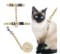 Ensemble harnais et laisse anti-fugue en nylon doux et réglable pour la promenade des chats de petite, moyenne et grande taille, motif tacos (taille S)