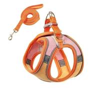 Ensemble harnais et laisse anti-fugue pour chat, style gilet confortable pour une promenade en plein air sûre, harnais réfléchissant réglable pour l'aventure, contrôle facile pour l'entraînement en