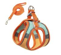 Ensemble harnais et laisse anti-fugue pour chat, style gilet confortable pour une promenade en plein air sûre, harnais réfléchissant réglable pour l'aventure, contrôle facile pour l'entraînement en