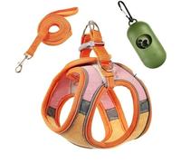 Ensemble harnais et laisse anti-fugue pour chat, style gilet confortable pour une promenade en plein air sûre, harnais réfléchissant réglable pour l'aventure, contrôle facile pour l'entraînement en