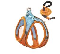 Ensemble harnais et laisse anti-fugue pour chat, style gilet confortable pour une promenade en plein air sûre, harnais réfléchissant réglable pour l'aventure, contrôle facile pour l'entraînement en