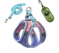 Ensemble harnais et laisse anti-fugue pour chat, style gilet confortable pour une promenade en plein air sûre, harnais réfléchissant réglable pour l'aventure, contrôle facile pour l'entraînement en