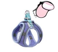 Ensemble harnais et laisse anti-fugue pour chat, style gilet confortable pour une promenade en plein air sûre, harnais réfléchissant réglable pour l'aventure, contrôle facile pour l'entraînement en