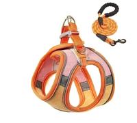 Ensemble harnais et laisse anti-fugue pour chat, style gilet confortable pour une promenade en plein air sûre, harnais réfléchissant réglable pour l'aventure, contrôle facile pour l'entraînement en