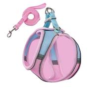 Ensemble harnais et laisse anti-fugue pour chat, style gilet confortable pour une promenade en plein air sûre, harnais réfléchissant réglable pour l'aventure, contrôle facile pour l'entraînement en