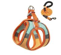 Ensemble harnais et laisse anti-fugue pour chat, style gilet confortable pour une promenade en plein air sûre, harnais réfléchissant réglable pour l'aventure, contrôle facile pour l'entraînement en