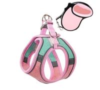 Ensemble harnais et laisse anti-fugue pour chat, style gilet confortable pour une promenade en plein air sûre, harnais réfléchissant réglable pour l'aventure, contrôle facile pour l'entraînement en