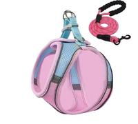 Ensemble harnais et laisse anti-fugue pour chat, style gilet confortable pour une promenade en plein air sûre, harnais réfléchissant réglable pour l'aventure, contrôle facile pour l'entraînement en