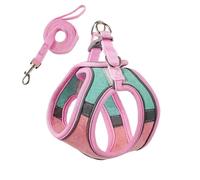 Ensemble harnais et laisse anti-fugue pour chat, style gilet confortable pour une promenade en plein air sûre, harnais réfléchissant réglable pour l'aventure, contrôle facile pour l'entraînement en